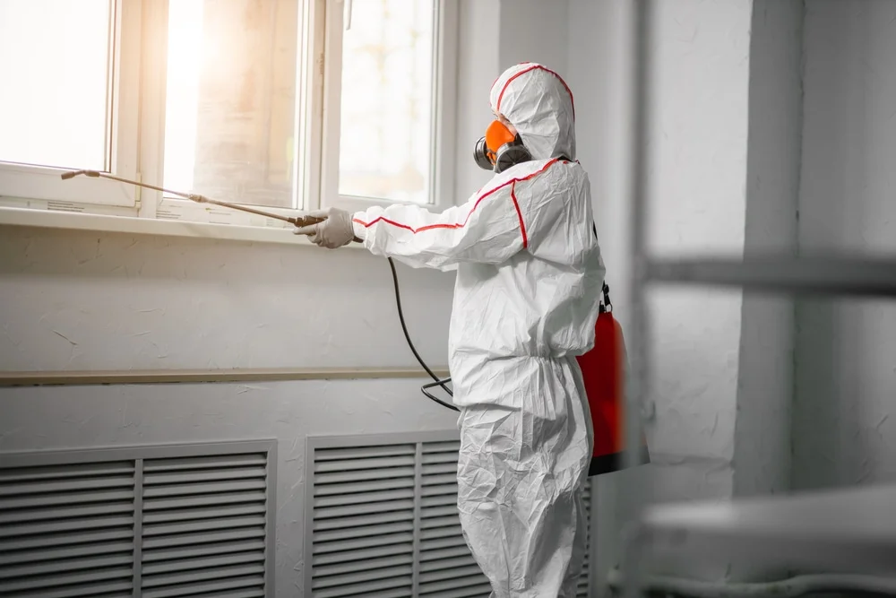 Professional mold remediation services in Tom Bean, TX